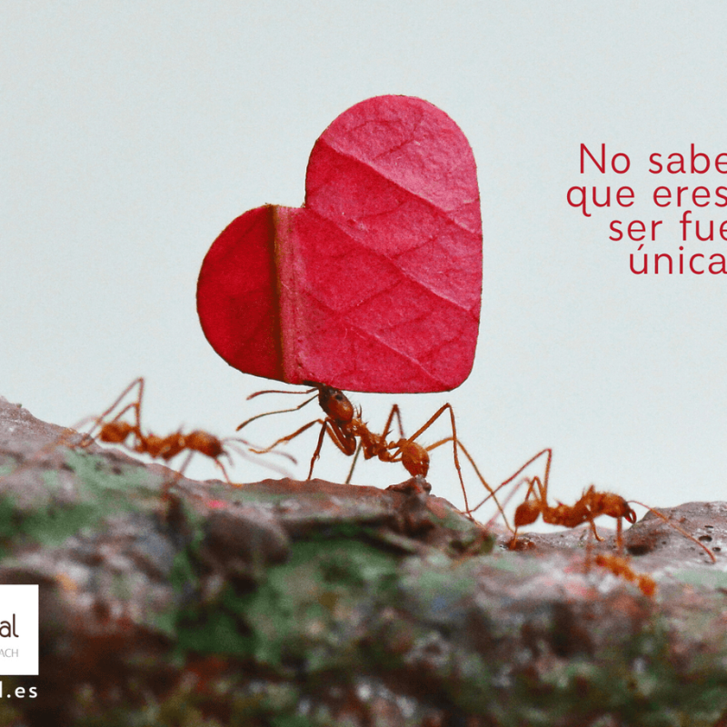 Imagen de No sabes lo fuerte que eres, hasta que ser fuerte es tu única opción (spiral)