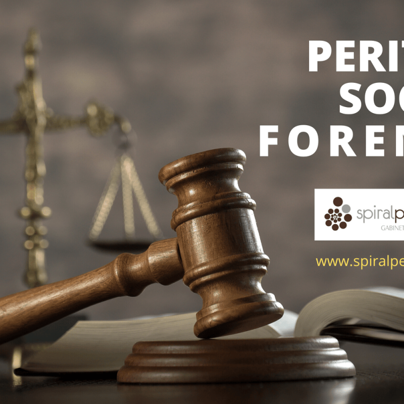 Imagen de Peritaje social forense