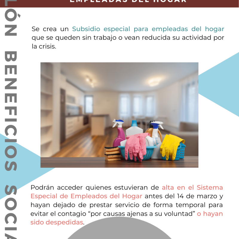 Imagen de Subsidio especial empleadas del hogar