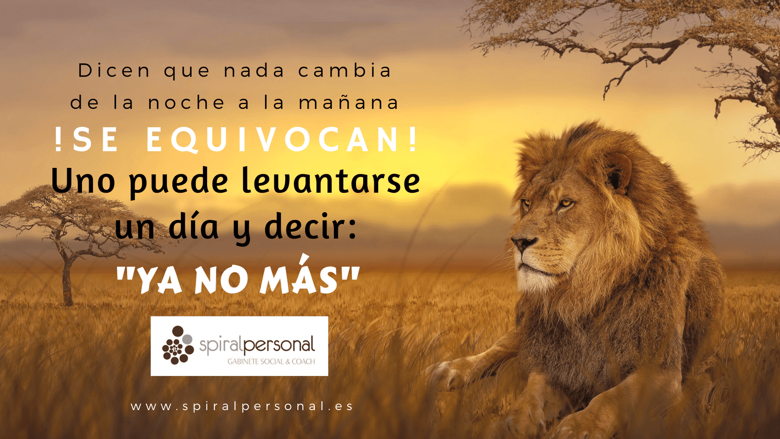 Imagen de 1º semana.ya no más