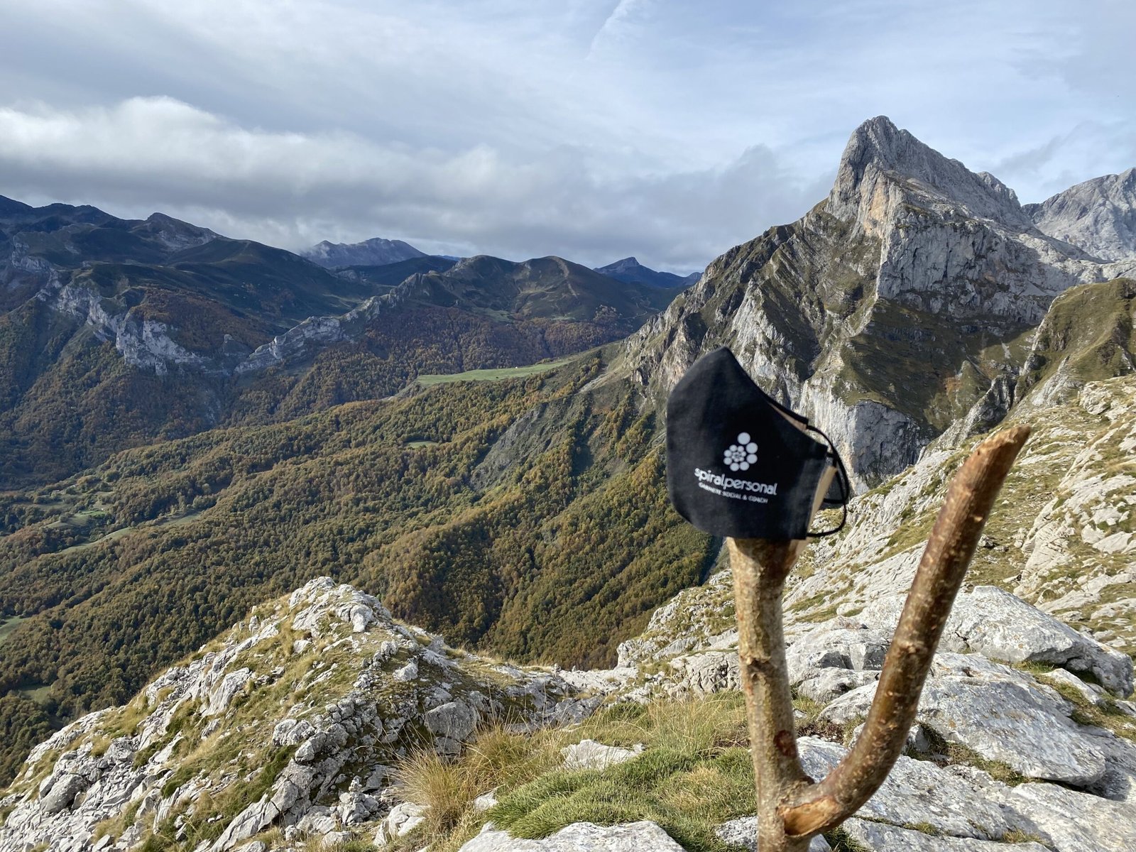 Imagen de Servicios foto 9ok