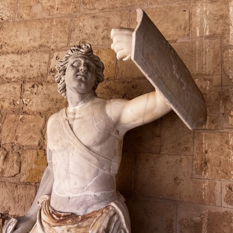 Imagen de Spiral medusa foto 7