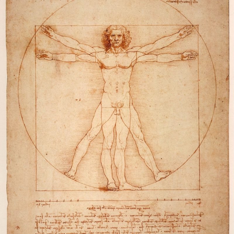 Imagen de Leonardo da vinci 1125056 1920