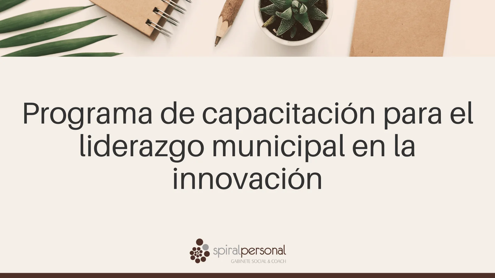 Imagen de Capacitacion para el liderazgo municipal