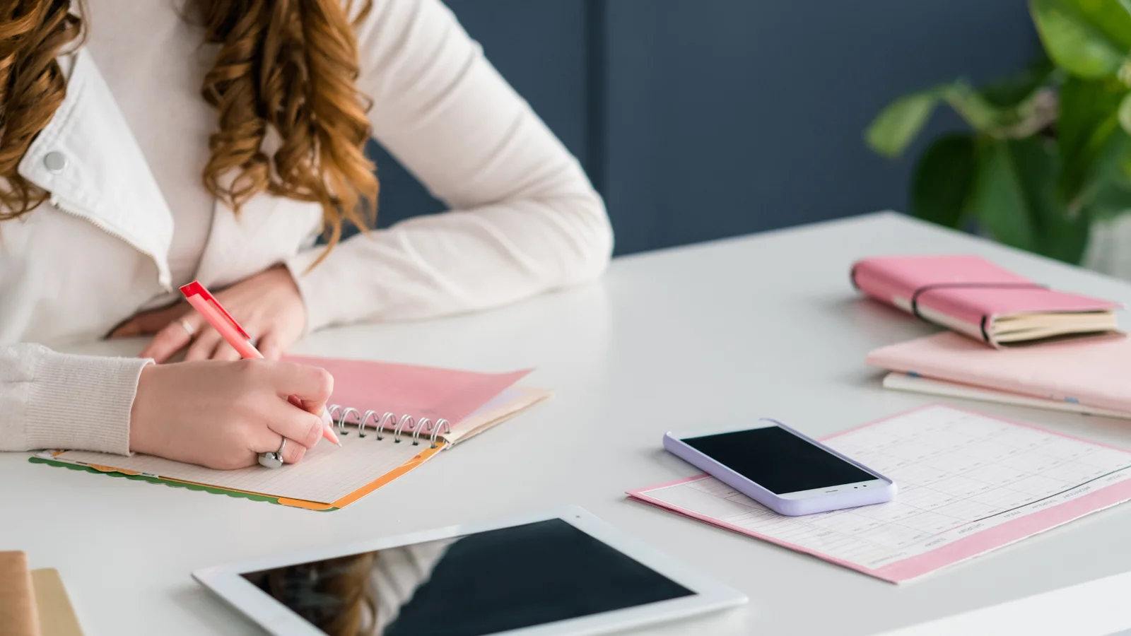Imagen de Gestor comercial en el ambito social y educativo