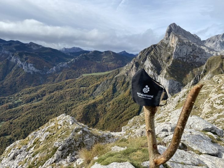 SERVICIOS - Foto 9OK